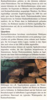 Faltblatt 'Die Rauhautfledermaus' (Seite 2)